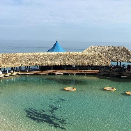 The View At Mystic Ridge Penthouse 78A Daire Ocho Rios Dış mekan fotoğraf