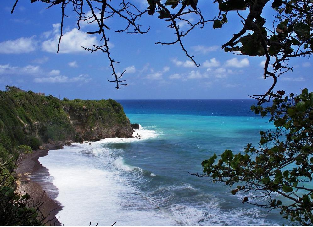 The View At Mystic Ridge Penthouse 78A Daire Ocho Rios Dış mekan fotoğraf